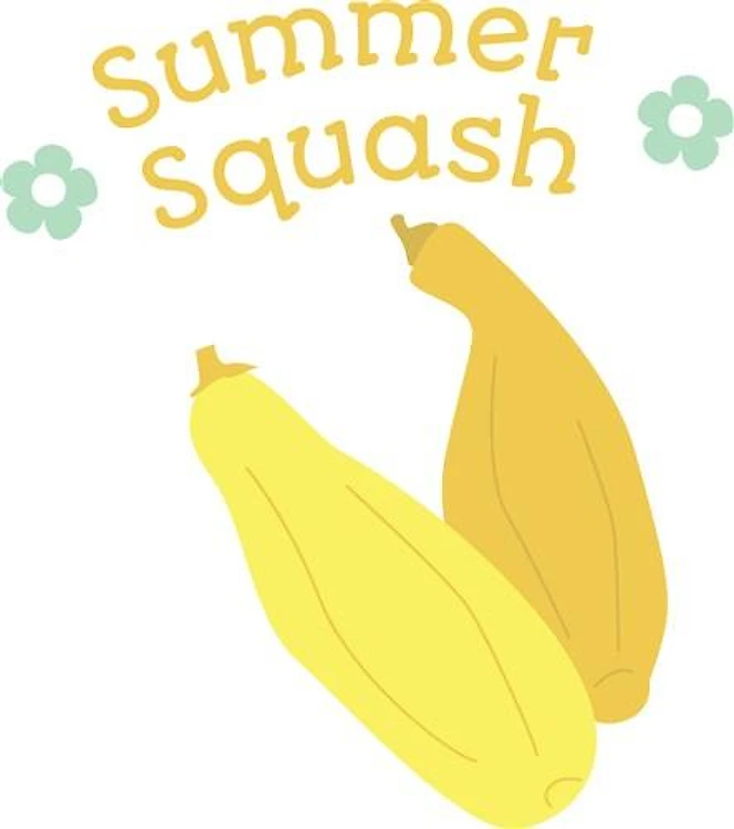 Summer Squash