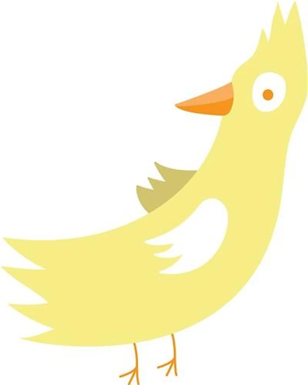 CartoonBird