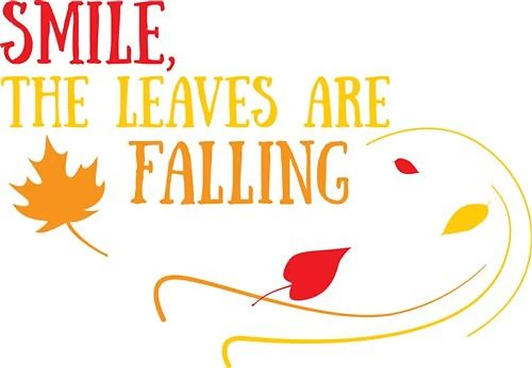 Leaves Falling