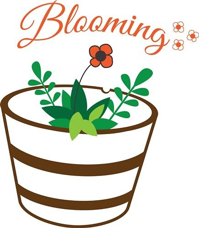 Blooming Flower
