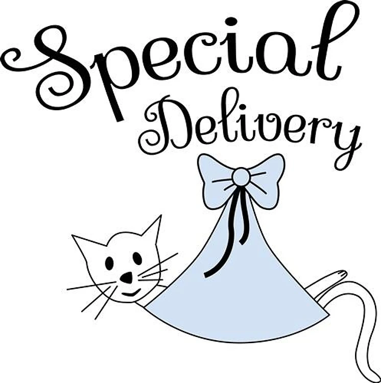 Special Delivery Cat