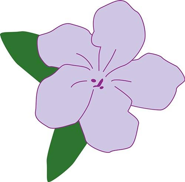 Purple Flower