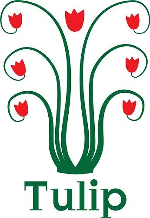 Tulip