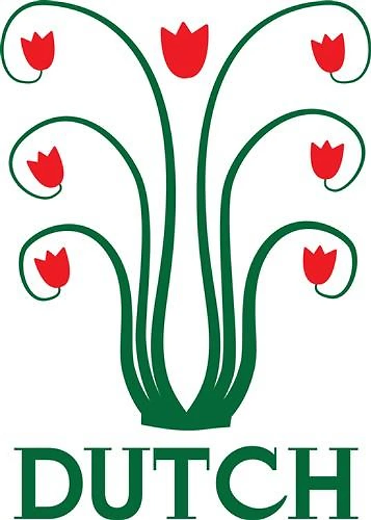 Dutch Tulips