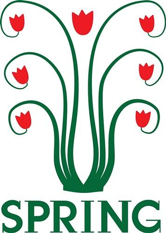 Spring Tulips