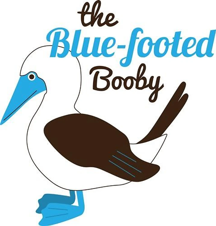 Blue Footed Booby