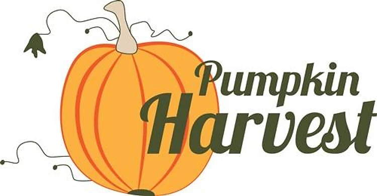 Pumpkin Harvest