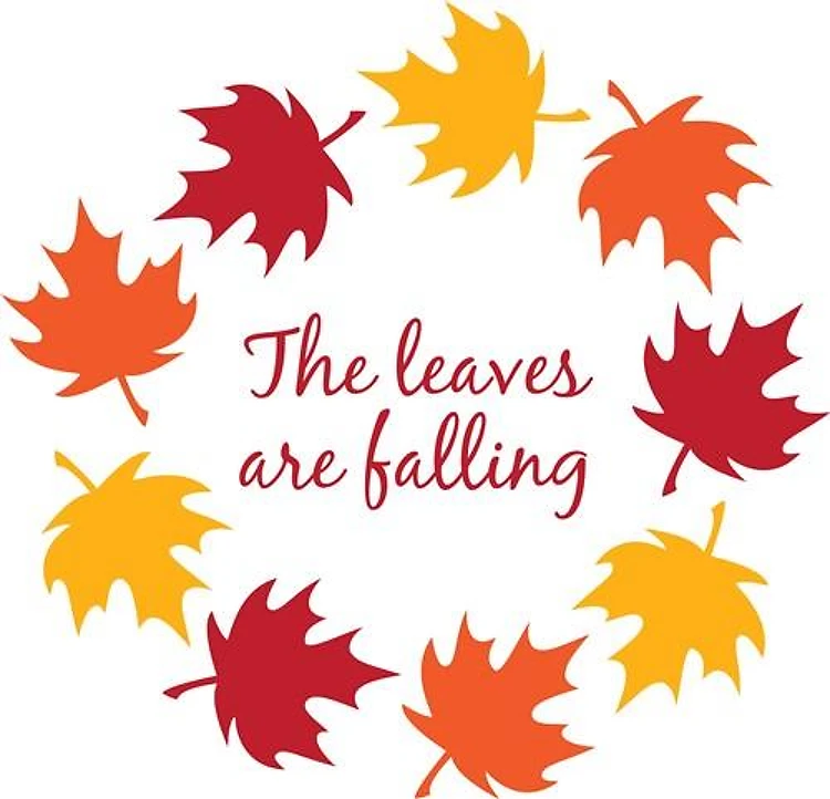 Leaves Falling