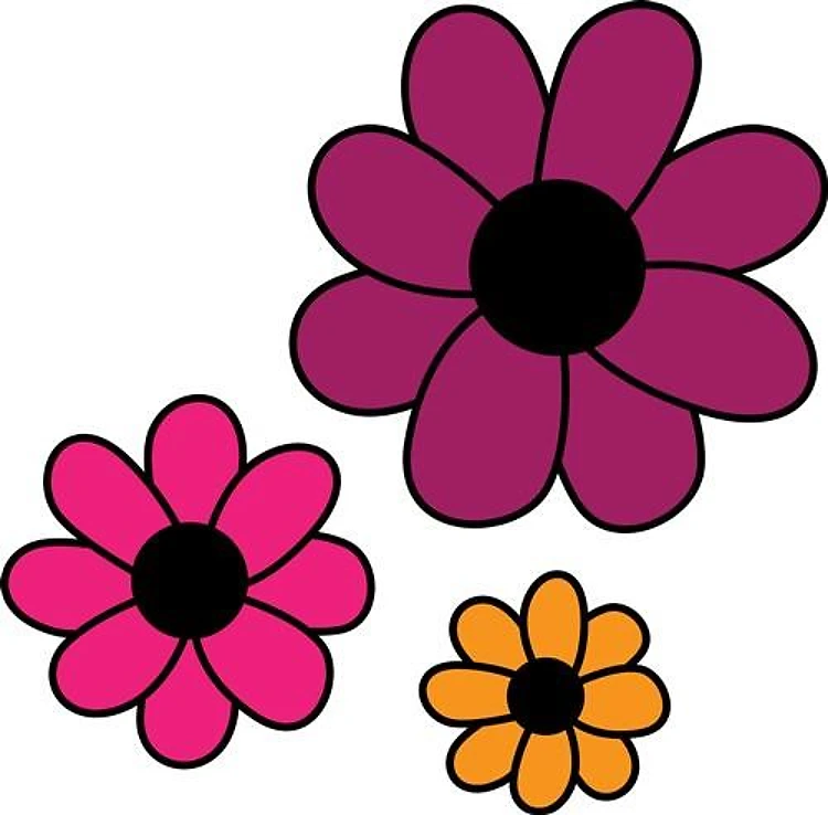 Daisy Flowers