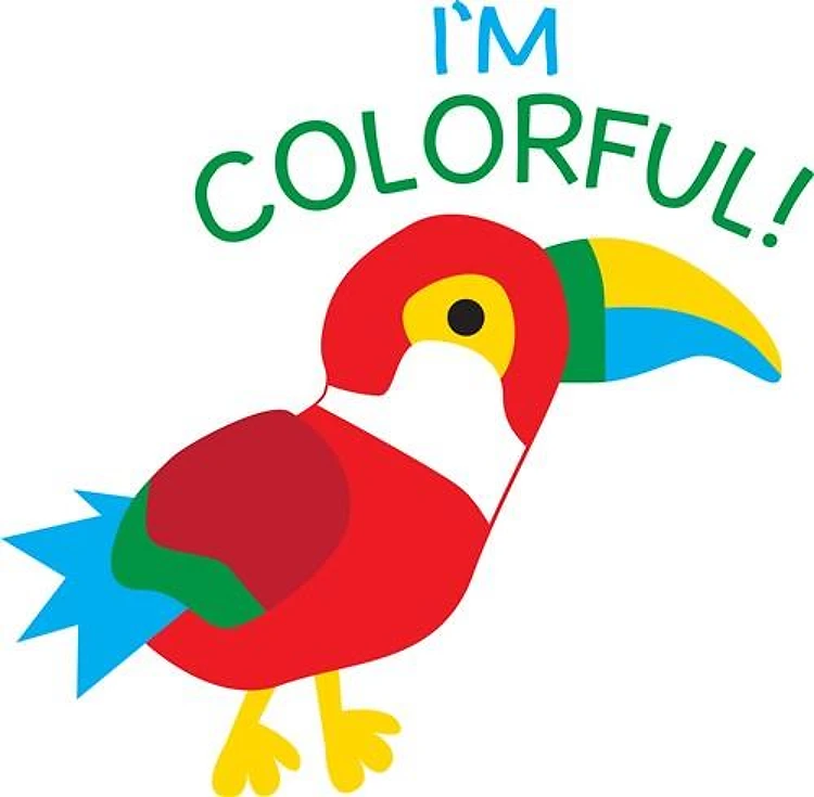 Colorful Toucan
