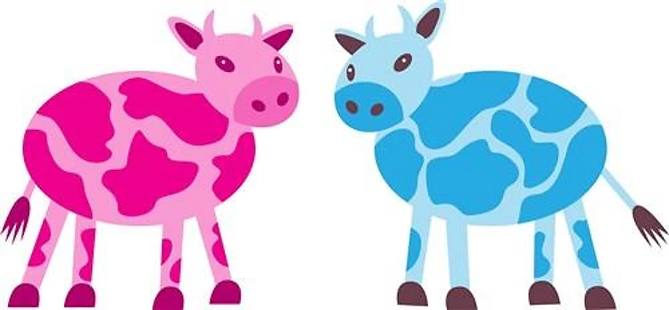 Cow Couple