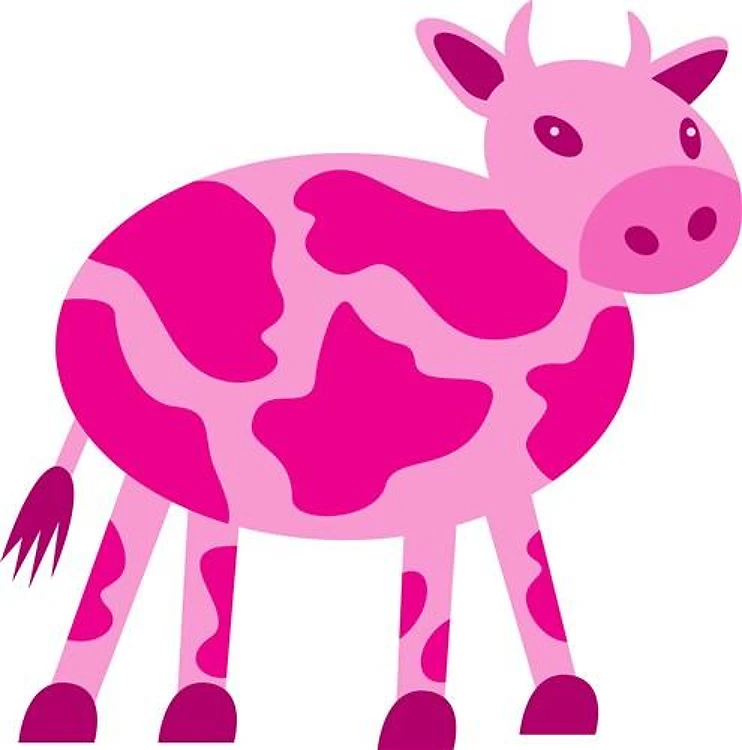 Single Cow