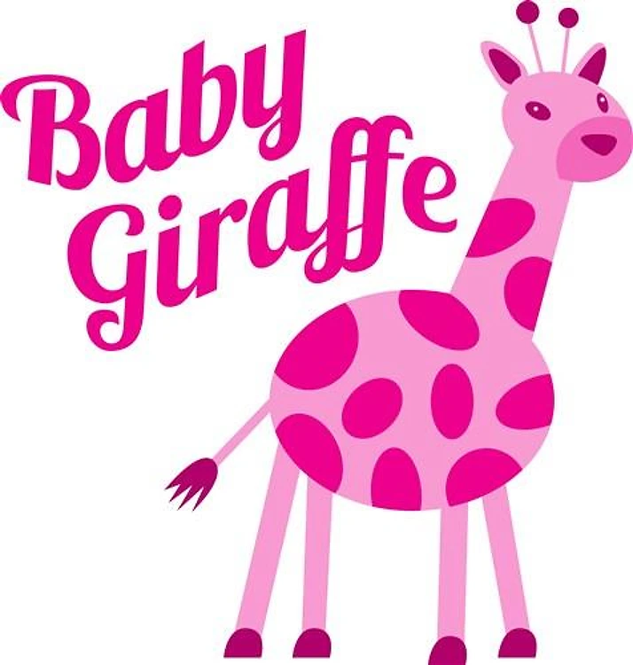 Baby Giraffe
