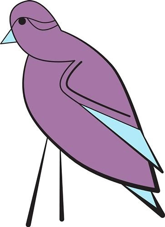 Pigeon