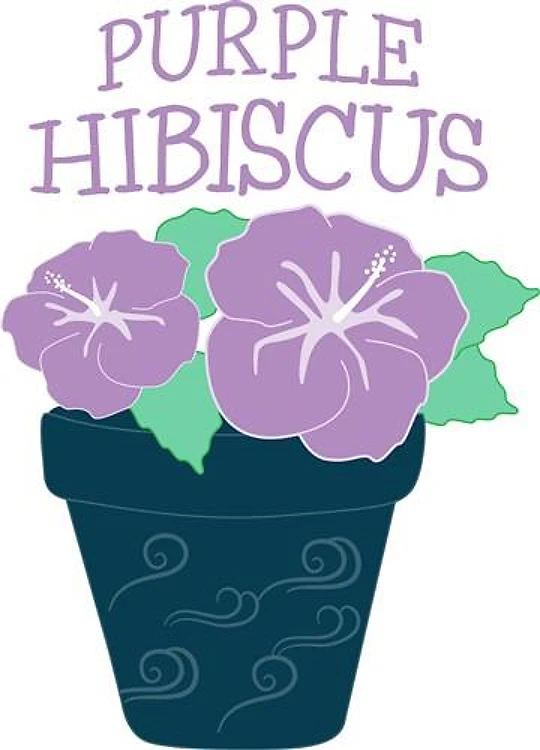 Purple Hibiscus