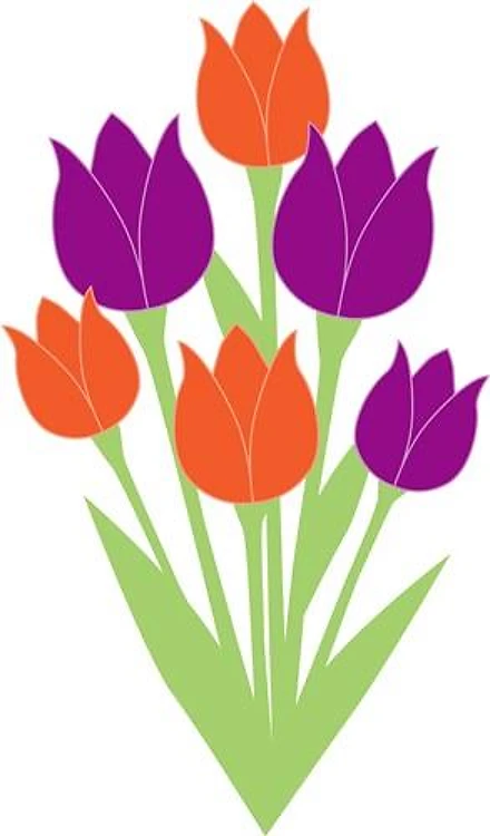 Tulip Bouquet