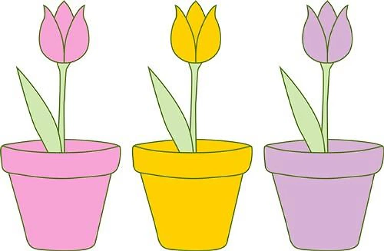 Tulip Pot