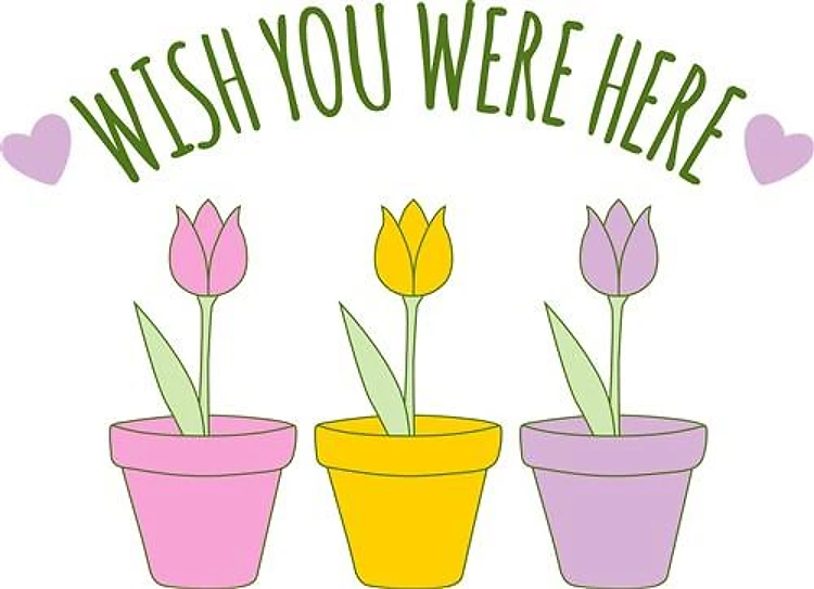 Wish You Were Here