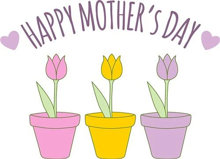 Mothers Day Tuilps