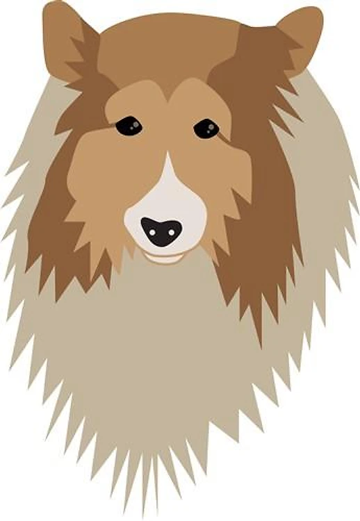Shetland Sheepdog