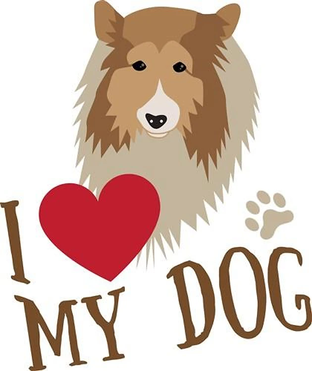 Love My Dog
