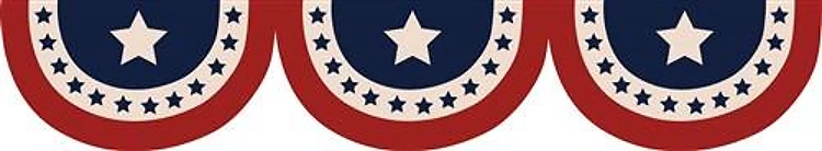 USA Bunting