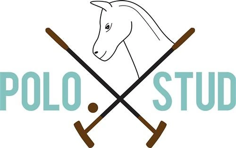 Polo Stud