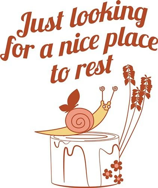 Place To Rest