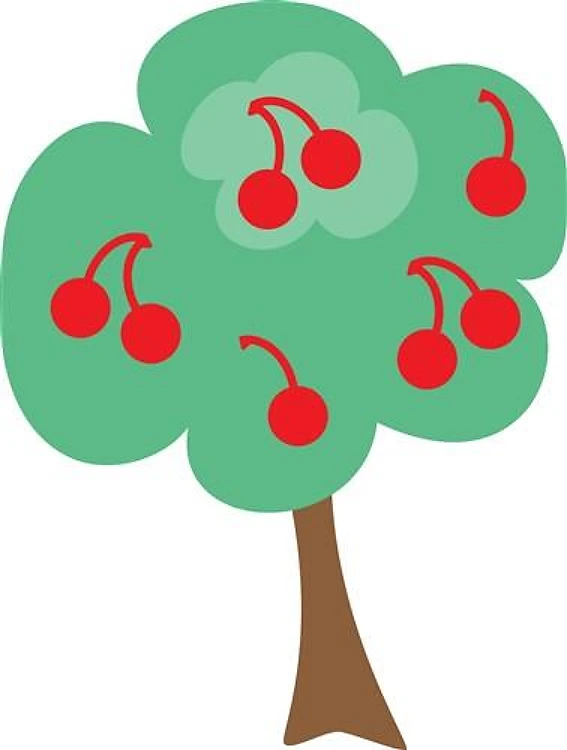 Cherry Tree