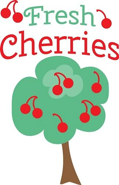 Fresh Cherries