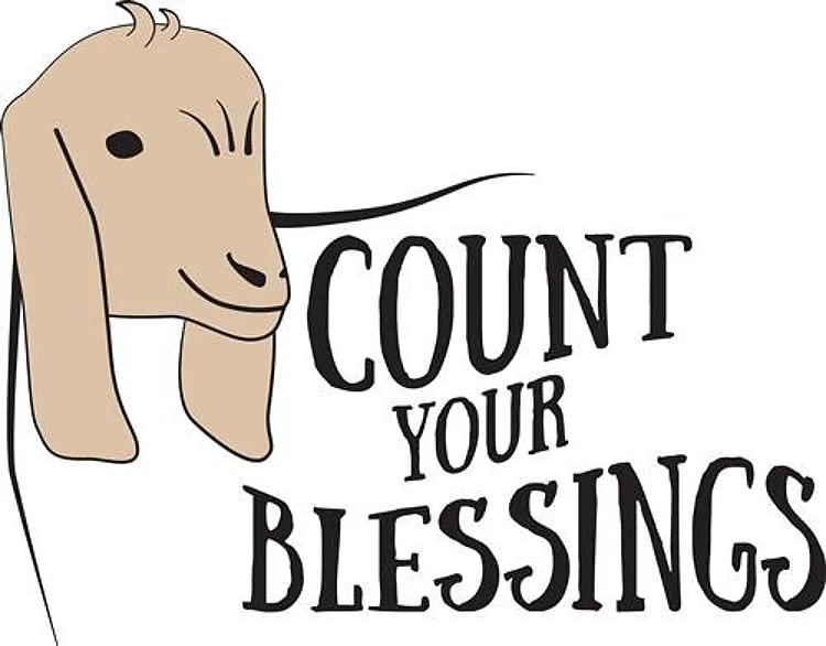 Count Your Blessings