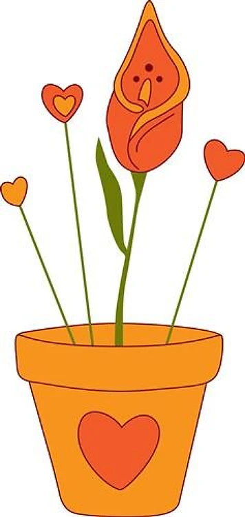Calla Lily