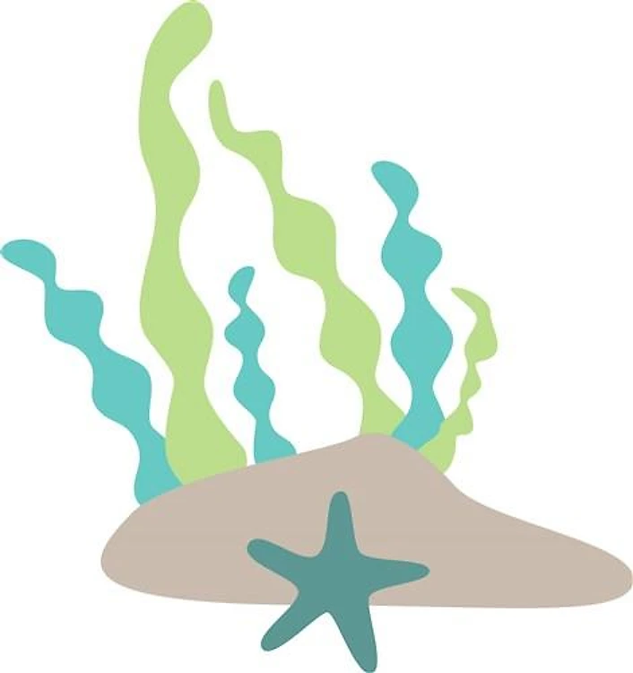 Seaweed