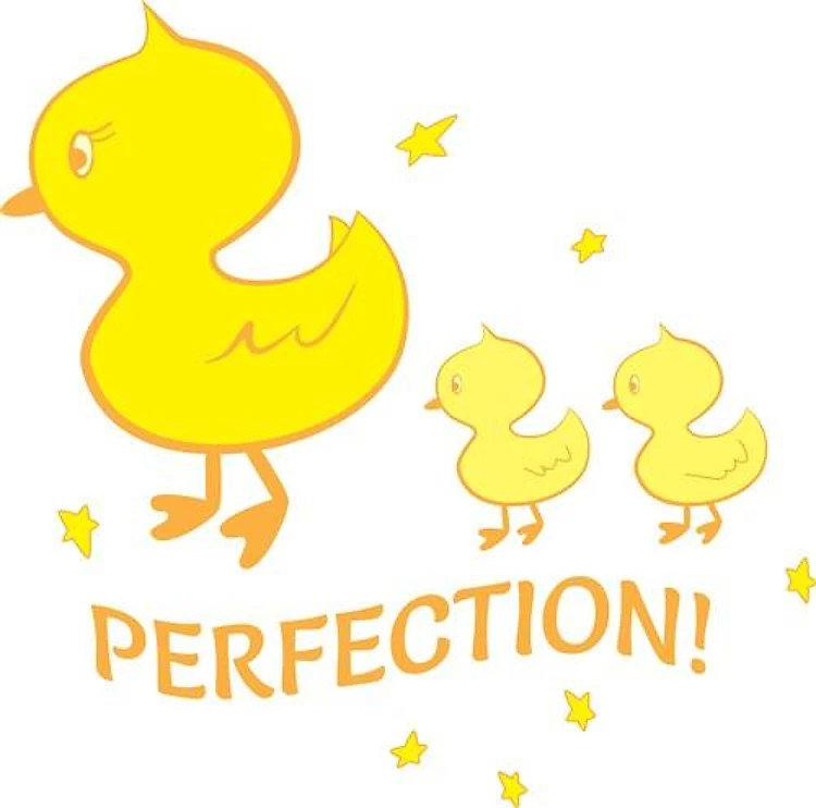 Perfection