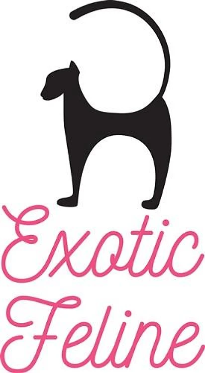 Exotic Feline