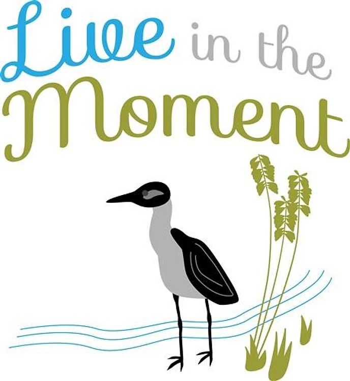 Live In The Moment