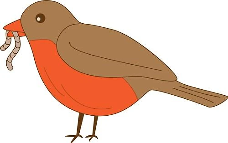 Robin With Worm