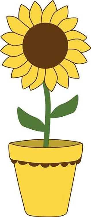 Sunflower Pot