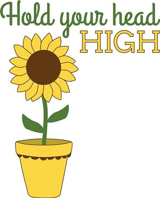 Hold Head High