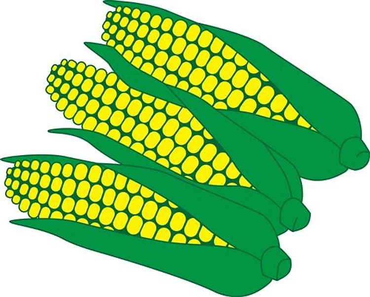 Corn On The Cob