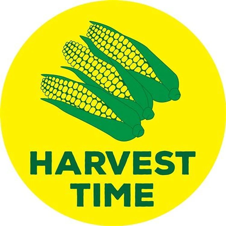 Harvest Time