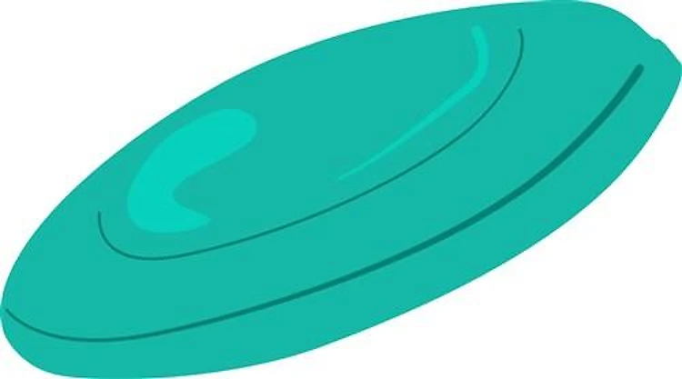 Green Frisbee