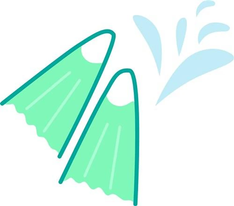 Flippers