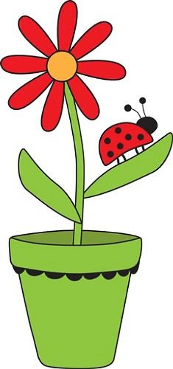 Daisy Planter & Ladybug