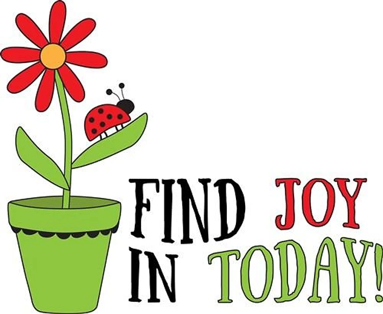 Find Joy In Today!