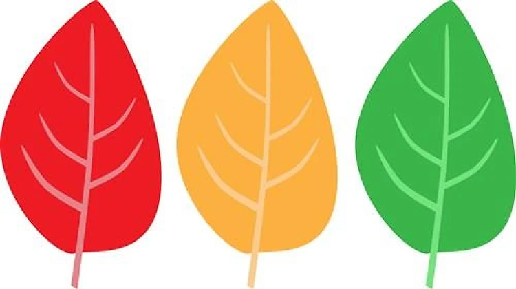 Colorful Leaves