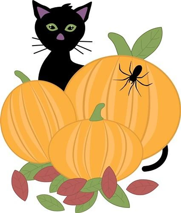 Pumpkins & Cat