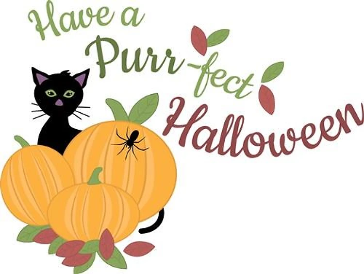 Purr-fect Halloween