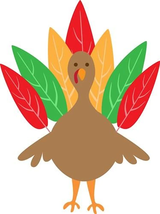 Colorful Turkey