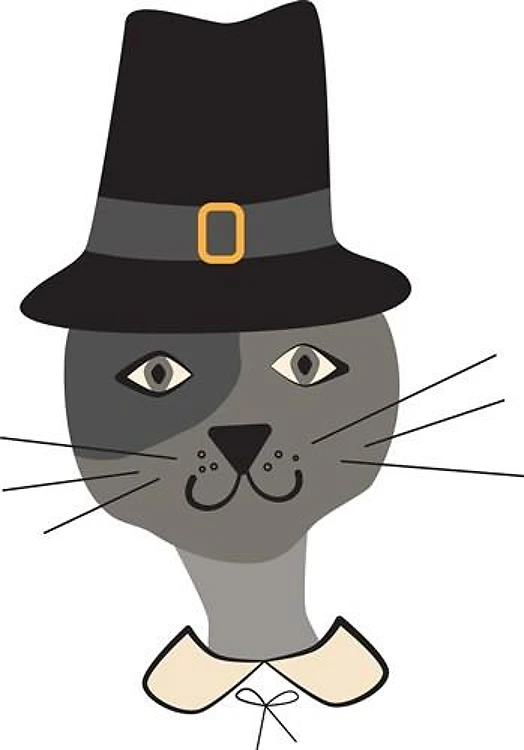 Pilgrim Cat